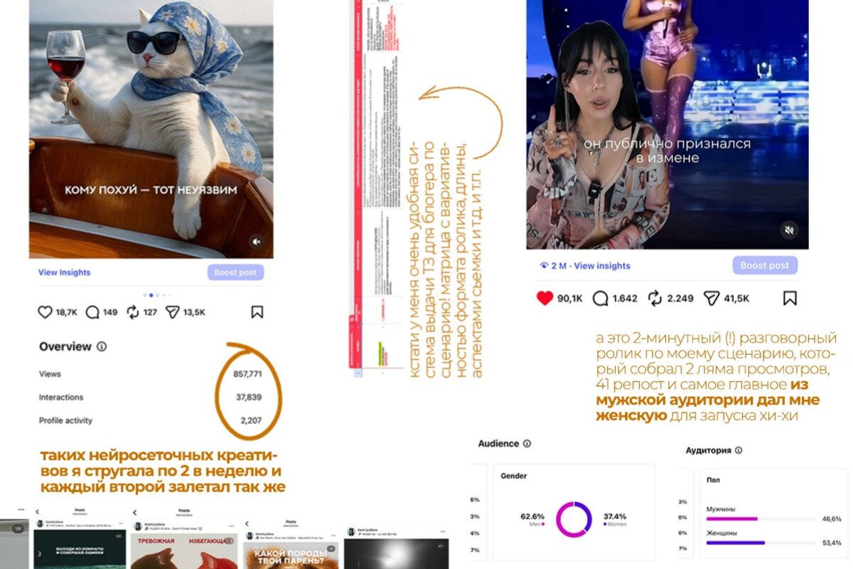 Контент, статистика и визуальная система проекта Ксении Лавы